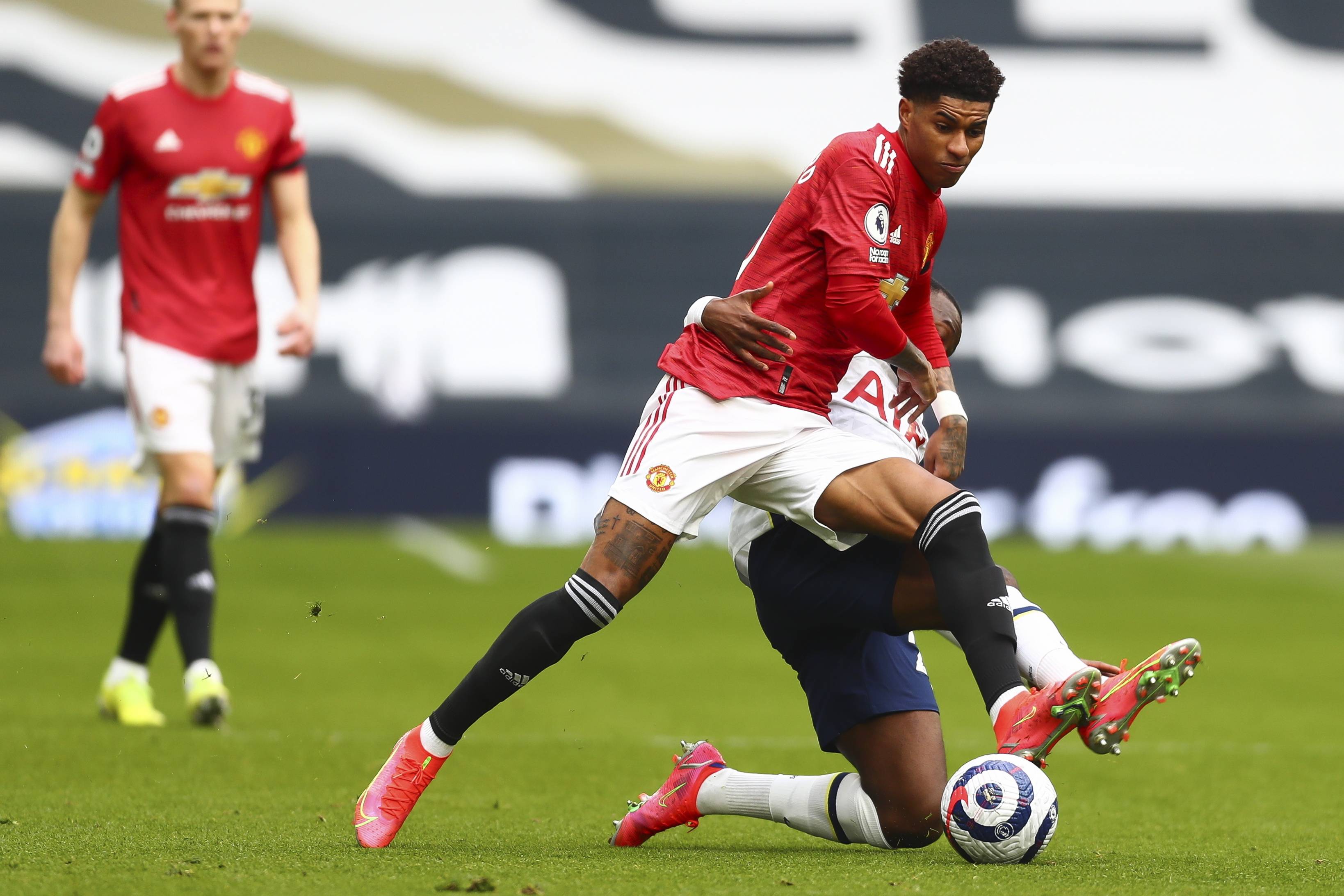 家的可持续 家的可持续